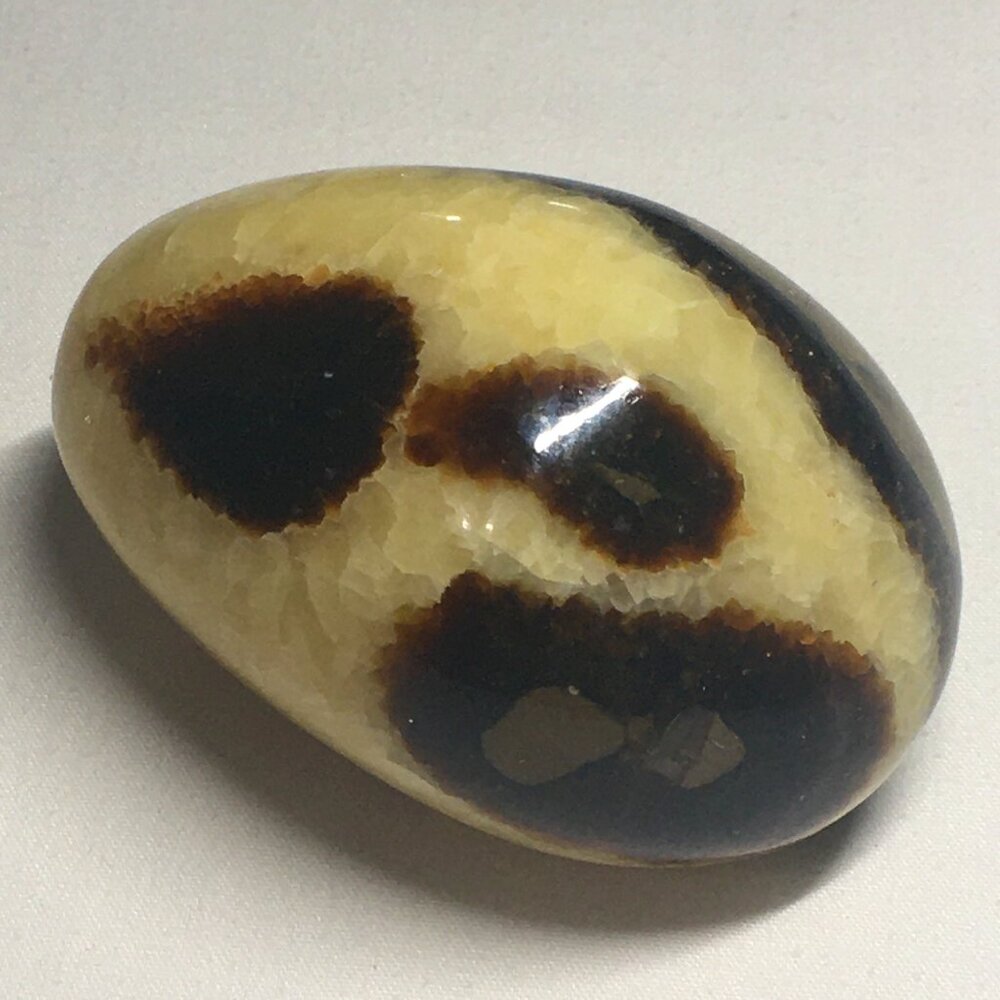 Septarian (aka Dragonstone) Polished Nodule